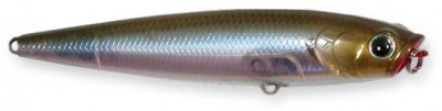 Gunfish color ghost minnow