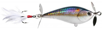 Kelly J color american shad