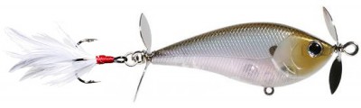 Kelly J color ghost minnow