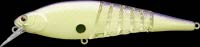 Live Pointer Bone Body color table rock shad