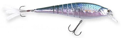 Live Pointer MR color ms mj herring