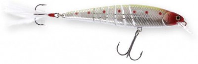 Live Pointer MR color nishiki