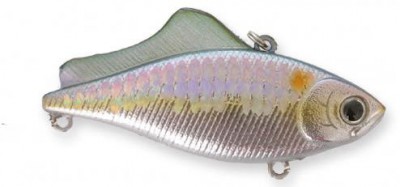 LV 100 color american shad