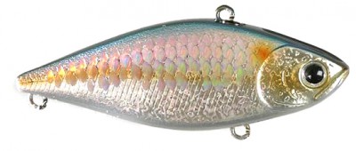 LV 300S color american shad