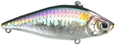 LV Max500 color american shad