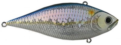 LVR D color american shad