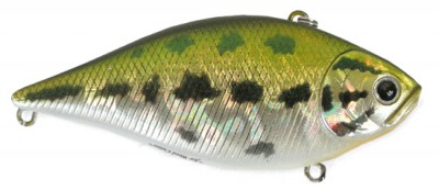 LVR D color aurora bass