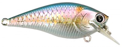 Marty Stone BDS Magic color american shad