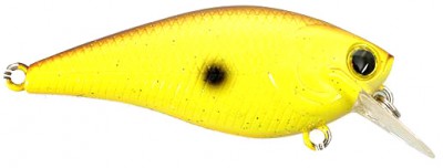 Marty Stone BDS Magic color chartreuse rootbeer