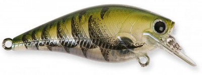 Marty Stone BDS Magic color ghost watermelon craw