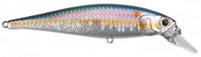 Pointer color american shad