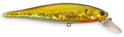 Pointer color aurora gold