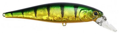 Pointer color aurora green perch