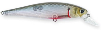 Pointer color bleeding ghost minnow