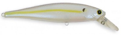 Pointer color chartreuse shad