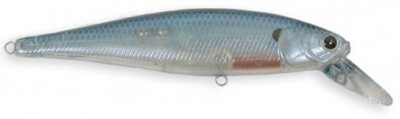 Pointer color ghost blue shad