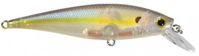 Pointer color ghost chartreuse shad