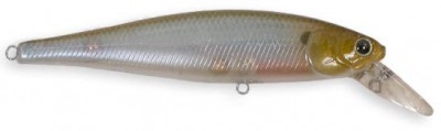 Pointer color ghost minnow