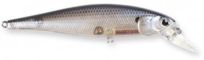 Pointer color ghost tennesse shad