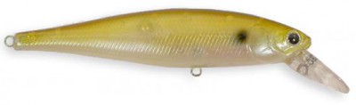 Pointer color golden shiner