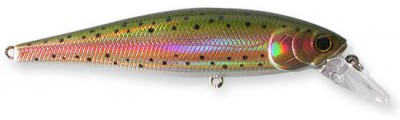 Pointer color laser rainbow trout