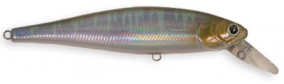 Pointer color misty shad