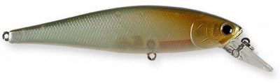 Pointer color pearl shad