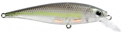 Pointer color phantom chartreuse shad