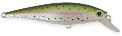 Pointer color rainbow trout
