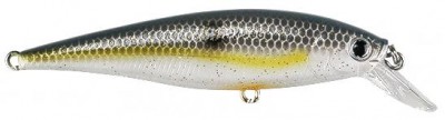 Pointer color sexy chartreuse shad