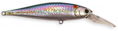 Pointer Deep Diver color american shad
