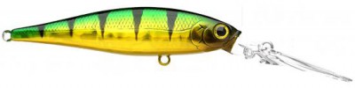 Pointer XD color aurora green perch