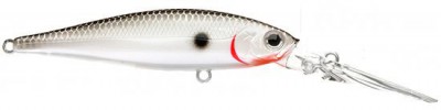 Pointer XD color original tennessee shad