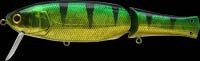 Real California color aurora green perch