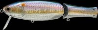 Real California color ms american shad