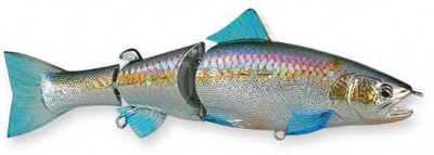 Real California Premium color american shad