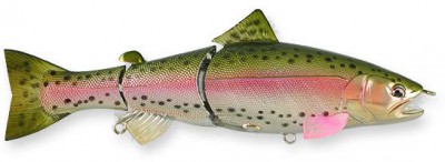 Real California Premium color laser rainbow trout