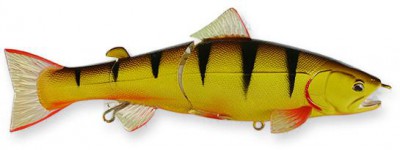 Real California Premium color tiger perch