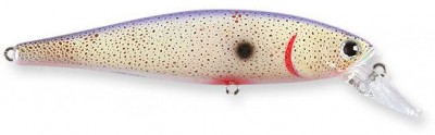 Real Skin Pointer color table rock shad