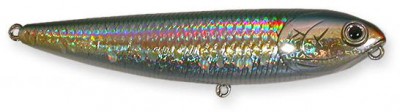 Sammy color american shad