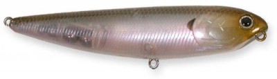 Sammy color ghost minnow