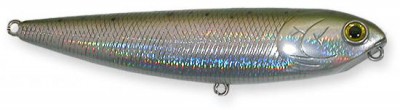 Sammy color laser rainbow trout