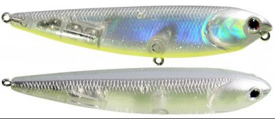 Sammy color skeets magic