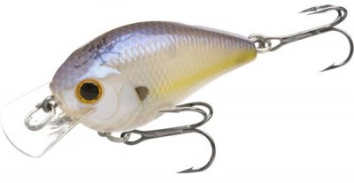 Skeet Reese SKT MR color 