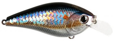 Skeet Reese SKT MR color american shad