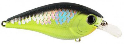 Skeet Reese SKT MR color crack