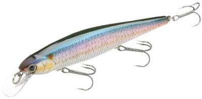 Slender Pointer MR color 