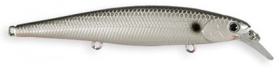 Slender Pointer MR color original tennessee shad