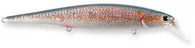 Slender Pointer MR Real Skin color american shad
