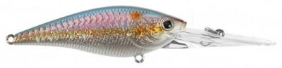 Slim Shad color american shad